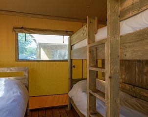 Unterkunft 3827135 - Zelthaus Noord Limburg - «Safaritent» 6B