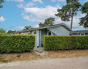 Guest house 3827143 - Chalet Noord Limburg - Chalet in Arcen