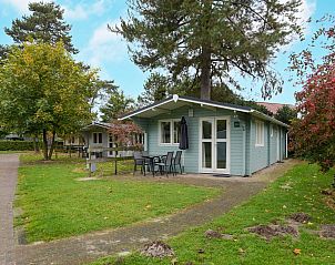 Guest house 382782 - Chalet Noord Limburg - Chalet in Arcen