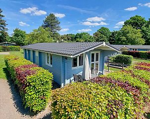 Guest house 382788 - Chalet Noord Limburg - Chalet in Arcen