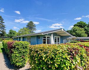 Guest house 382788 - Chalet Noord Limburg - Chalet in Arcen