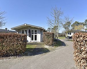 Guest house 382789 - Chalet Noord Limburg - Chalet in Arcen