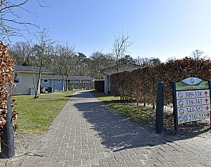 Guest house 382789 - Chalet Noord Limburg - Chalet in Arcen