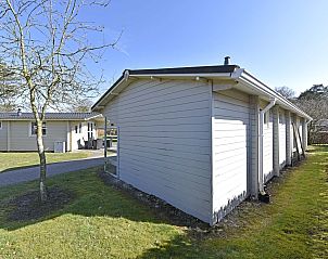 Guest house 382789 - Chalet Noord Limburg - Chalet in Arcen