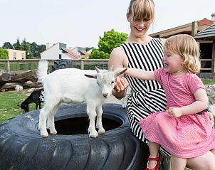 Guest house 382792 - Chalet Noord Limburg - Chalet in Arcen