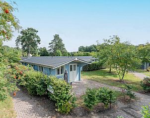 Guest house 382794 - Chalet Noord Limburg - Chalet in Arcen