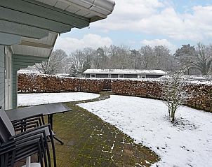 Guest house 382798 - Chalet Noord Limburg - Chalet in Arcen