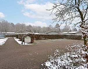 Guest house 382798 - Chalet Noord Limburg - Chalet in Arcen