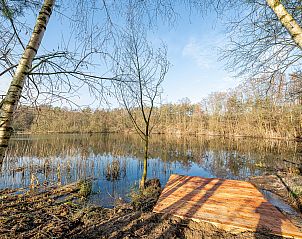 Guest house 383668 - Chalet Noord Limburg - Chalet in Belfeld