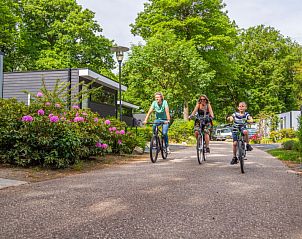 Fietstocht door de groene omgeving van Vakantiehuis Cube Elite 6, Belfeld, Noord Limburg.