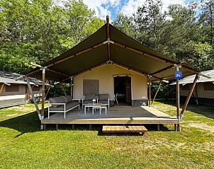 Verblijf 383689 - Tenthuis Noord Limburg - Lodgetent
