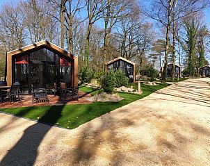 Unterkunft 383691 - Ferienhaus Noord Limburg - Forest