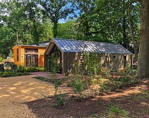 Unterkunft 383691 - Ferienhaus Noord Limburg - Forest