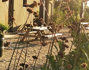 Zonnig terras met picknicktafels in Vakantiehuisje in America, Noord Limburg, ideaal voor buitenmaaltijden.