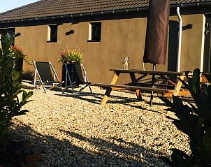 Zonnig terras bij Vakantiehuisje in America, Noord Limburg, met zitplaatsen en bloeiende planten.