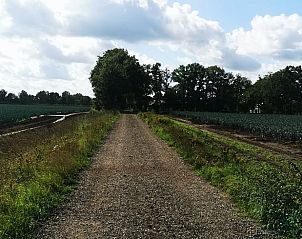 Verlichte tuinpad bij nacht in Vakantiehuisje in America, Noord Limburg, voor een magische sfeer.