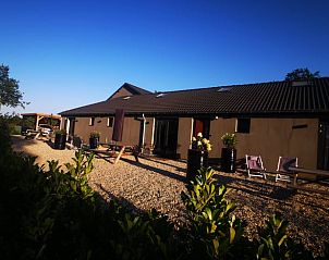 Charmante buitenruimte van Vakantiehuisje in America, Noord Limburg, met terras en tuinzitjes.