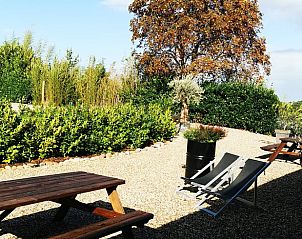 Buitenruimte van Vakantiehuisje in America, Noord Limburg, met picknicktafels en ligstoelen.