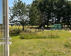 Uitzicht op de tuin vanuit Vakantiehuis in Heijen, Noord Limburg met weelderig groen en bomen.