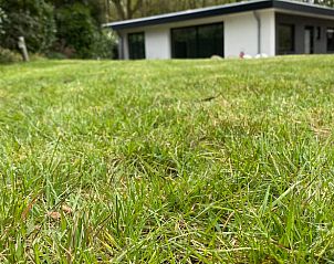 Grote tuin bij Huisje in Heijen, vakantiehuis in Noord Limburg.
