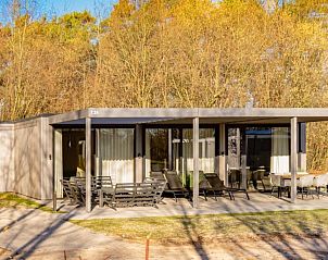Genieen Sie die ruhige Natur rund um Bos Villa, ein Ferienhaus fr 8 Personen in Maasbree, Limburg, mit groer Terrasse und moderner Einrichtung.