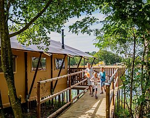 Enjoy a stay at Waterlodge for 8 in Maasbree, North Limburg, with a beautiful wooden veranda surrounded by nature.