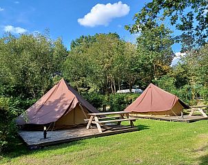 Glamping tent for 4 in Maasbree, North Limburg, offers a unique glamping experience with terrace and natural surroundings.