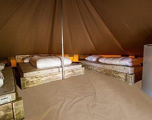 Guest house 384020 - Holiday property Noord Limburg - Glamptent | 4 personen