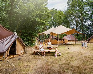 Guest house 384020 - Holiday property Noord Limburg - Glamptent | 4 personen