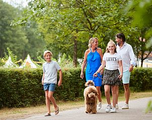 Guest house 384024 - Holiday property Noord Limburg - Bos Cottage met Sauna en Bubbelbad | 4 personen