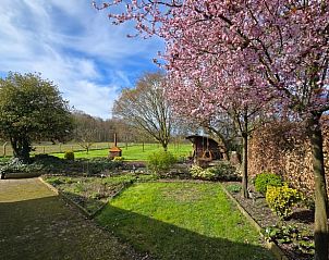 Guest house 384404 - Holiday property Noord Limburg - Vakantiehuisje in Horn