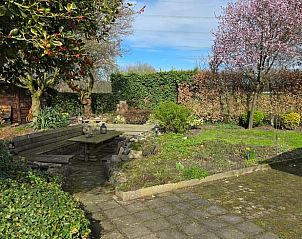 Guest house 384404 - Holiday property Noord Limburg - Vakantiehuisje in Horn