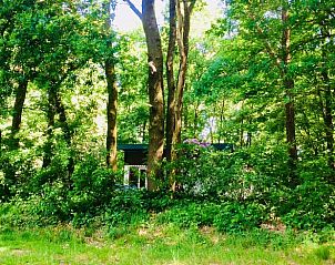 Guest house 384603 • Holiday property Noord Limburg • Huisje in Beesel 