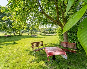 Gezellig zitje onder een boom in de tuin van Vakantiehuis in Beesel, Noord Limburg.