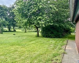 Groen landschap naast Vakantiehuis in Beesel, Noord Limburg, met bomen en gras.