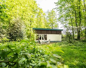 Unterkunft 384606 • Ferienhaus Noord Limburg • Bosrijk gelegen 5 persoons vakantiehuis in het Drakendorp 