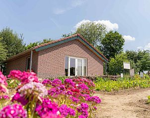 Unterkunft 384607 • Ferienhaus Noord Limburg • Natuurrijk gelegen 5 persoons vakantiehuis nabij het bos en 