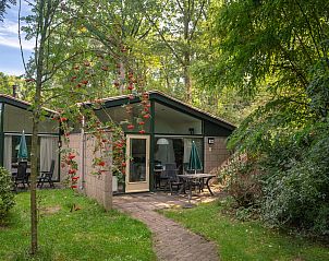 Guest house 384749 - Bungalow Noord Limburg - De Lommerbergen | 2-persoons bungalow | 2B1
