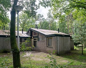 Guest house 384752 - Bungalow Noord Limburg - De Lommerbergen | 5-persoons bungalow | 5B