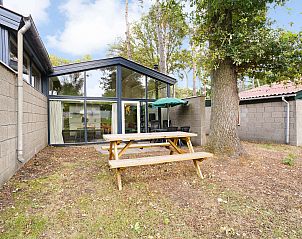 Guest house 384753 - Bungalow Noord Limburg - De Lommerbergen | 4-persoons kinderbungalow | 4CK2