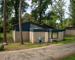 Guest house 384753 - Bungalow Noord Limburg - De Lommerbergen | 4-persoons kinderbungalow | 4CK2