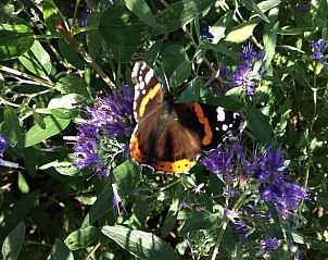Unterkunft 384807 - Ferienhaus Noord Limburg - Vakantiehuis in Merselo