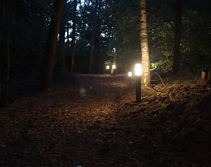 Unterkunft 384809 - Ferienhaus Noord Limburg - Vakantiehuis in Merselo