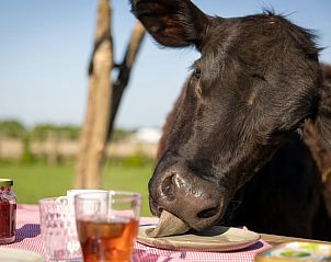 Unterkunft 385605 - Ferienhaus Noord Limburg - Vakantiehuis in Baexem