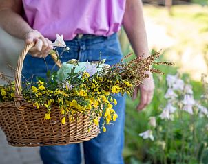 Unterkunft 385605 - Ferienhaus Noord Limburg - Vakantiehuis in Baexem
