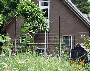 Verblijf 385606 - Vakantiewoning Noord Limburg - Huisje in Baexem