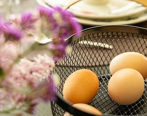 Verse eieren in Vakantiehuis in Baexem, Noord Limburg voor een authentiek ontbijt.