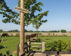 Uitzicht op weilanden bij Vakantiehuis in Baexem, Noord Limburg met beugelbaan.