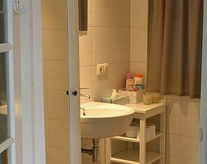 Stijlvolle wastafel in badkamer van Vakantiehuisje in Baexem, Noord Limburg, met praktische opbergruimte.