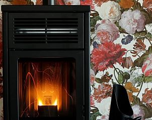 Gezellige binnenruimte met haard in Vakantiehuisje in Baexem, Noord Limburg, perfect voor knusse avonden.